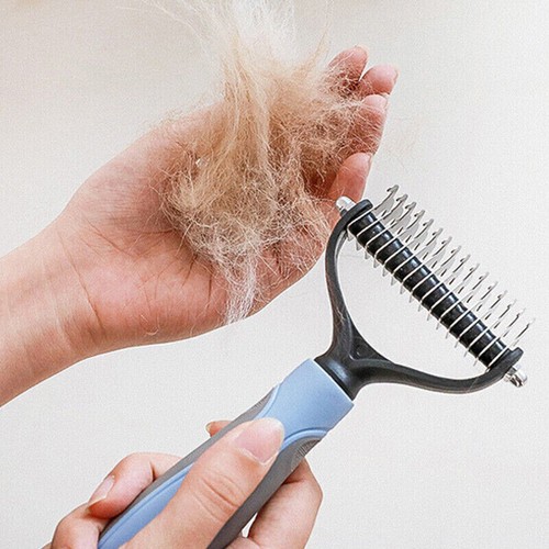 Pet cat dog - dog, fur