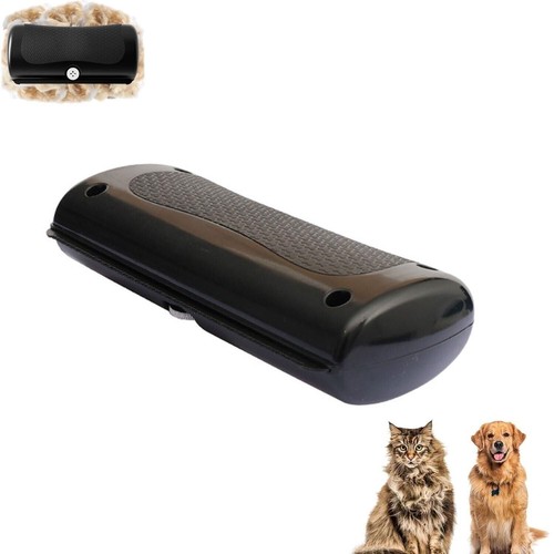 Dog horse cat - cat, hair