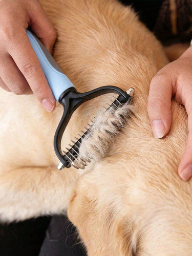 Pet cat dog hair fur - dog, shedding
