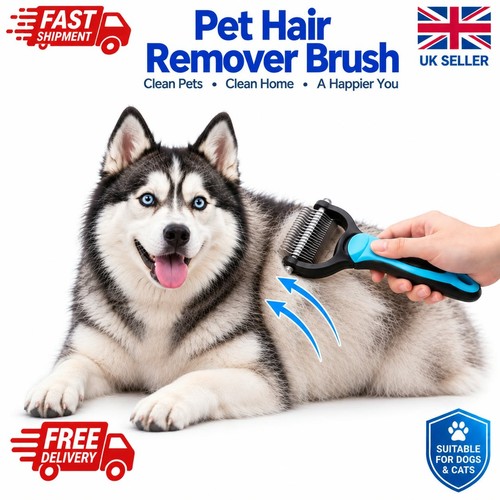 Pet cat dog hair - cat, shedding