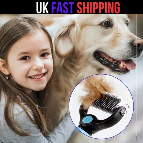 Pet cat dog - dog, fur