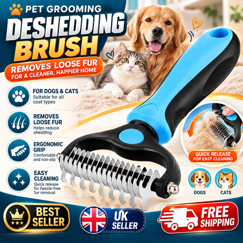 Professional pet dog cat - professional,