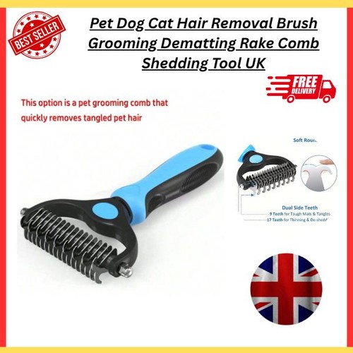 Pet cat dog - pet, shedding