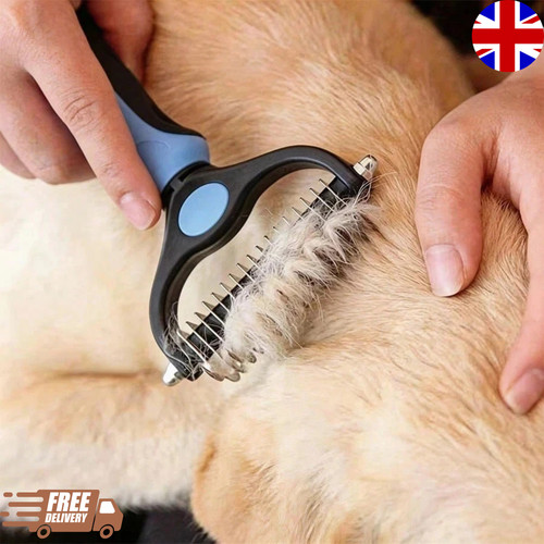 Pet cat dog - cat, shedding