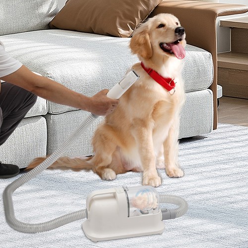 Modern pet grooming - modern, tool