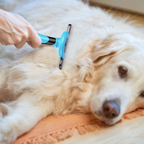 Lingear dog deshedding - dog,