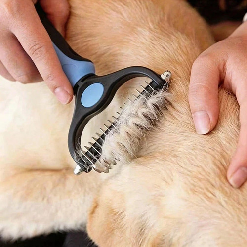Pet cat dog hair fur - dog,