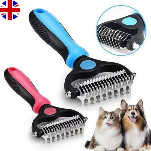 Pet cat dog - cat, fur