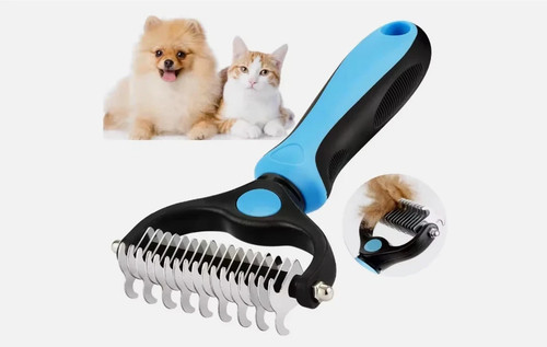 Pet cat dog - cat, fur