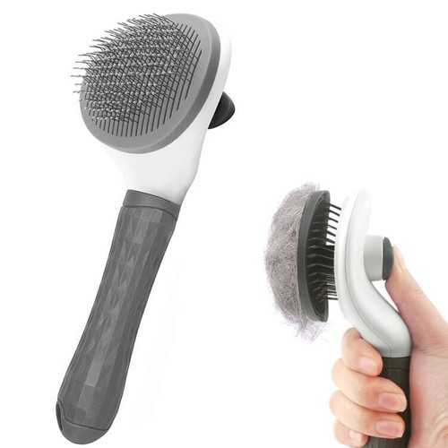 Cat dog brush - cat, grooming