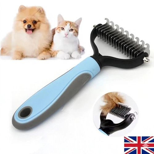 Pet cat dog - cat, hair
