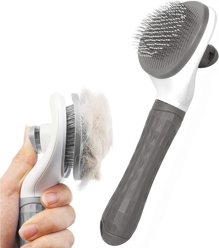 Cat dog 1 pet grooming - 3, in