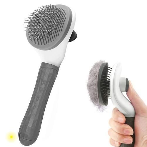 Cat dog brush pet - dog, brush,