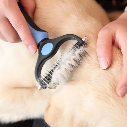 Pet cat dog hair - hair, shedding